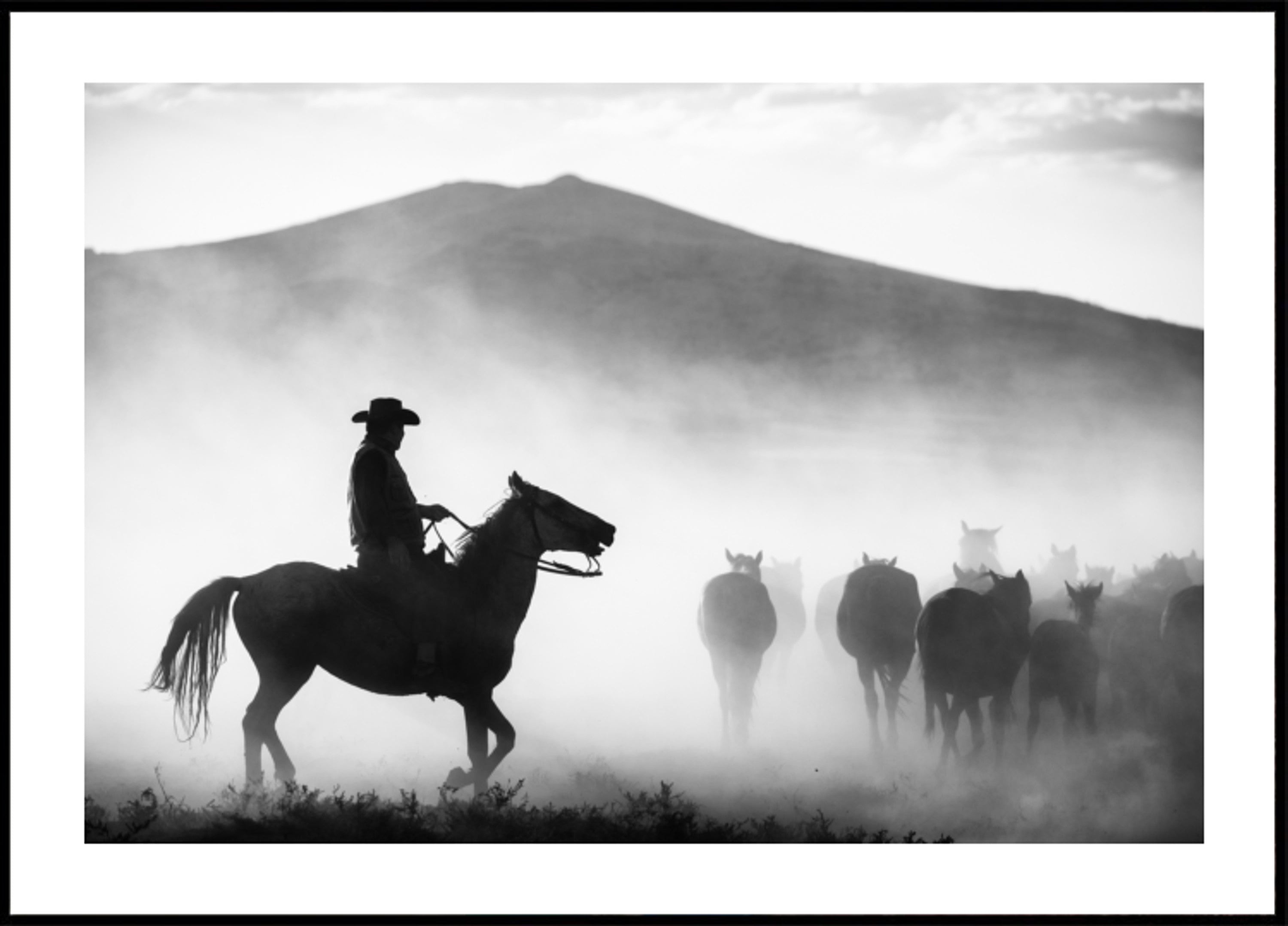Cowboy-paimenhevosia
