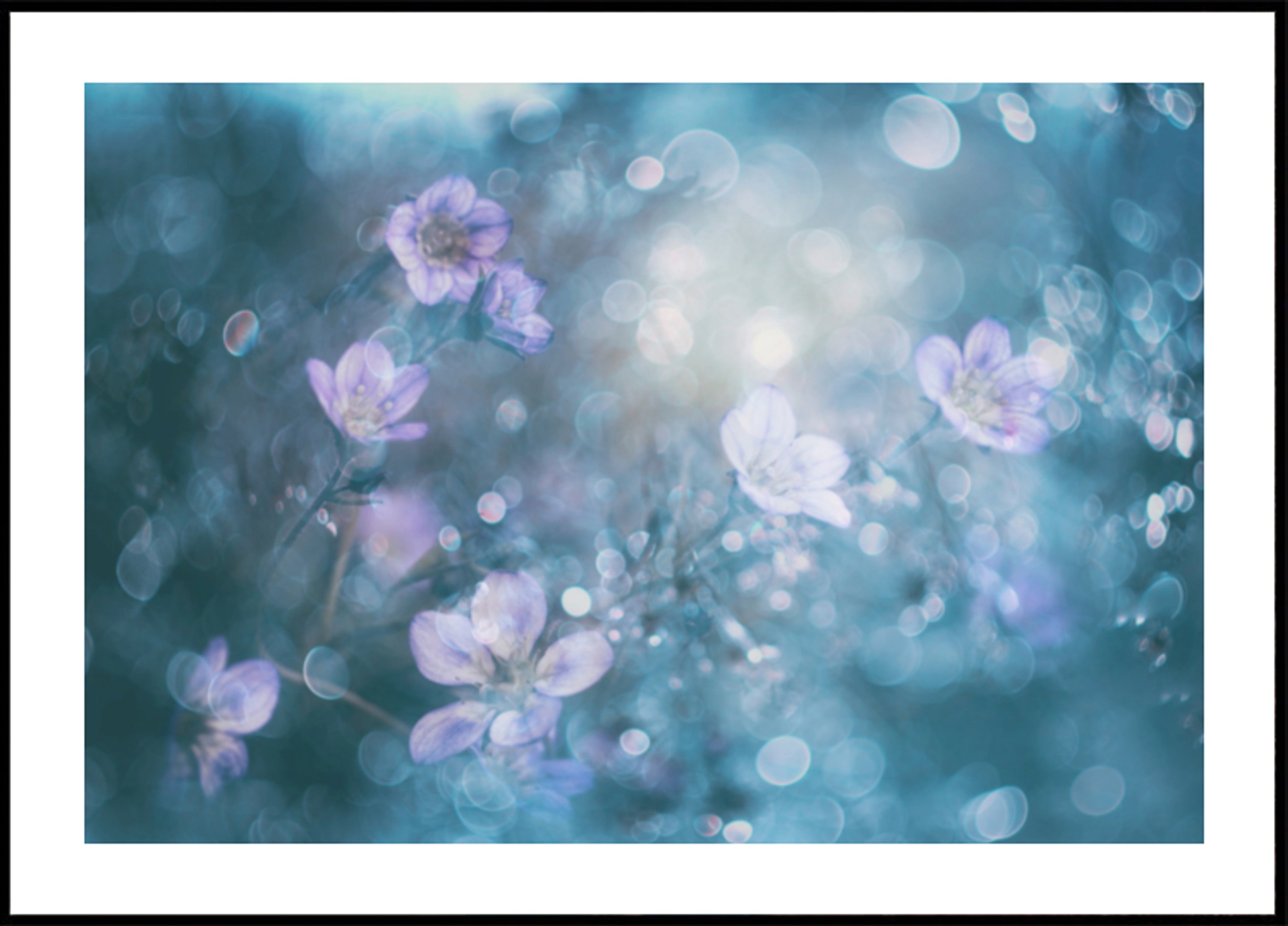 Unenomaiset Bokeh-kukat