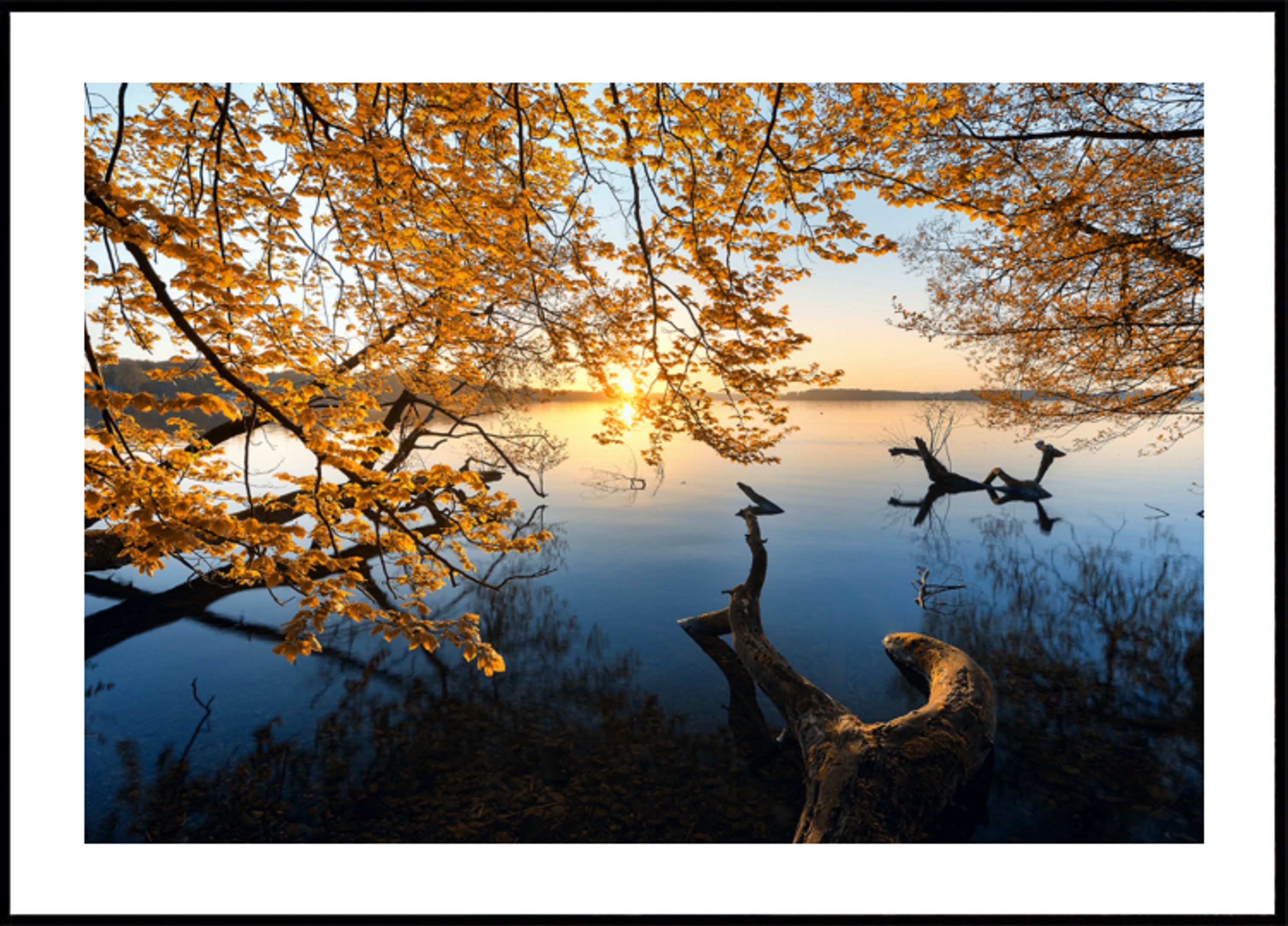 Golden Autumn Lake Sunrise