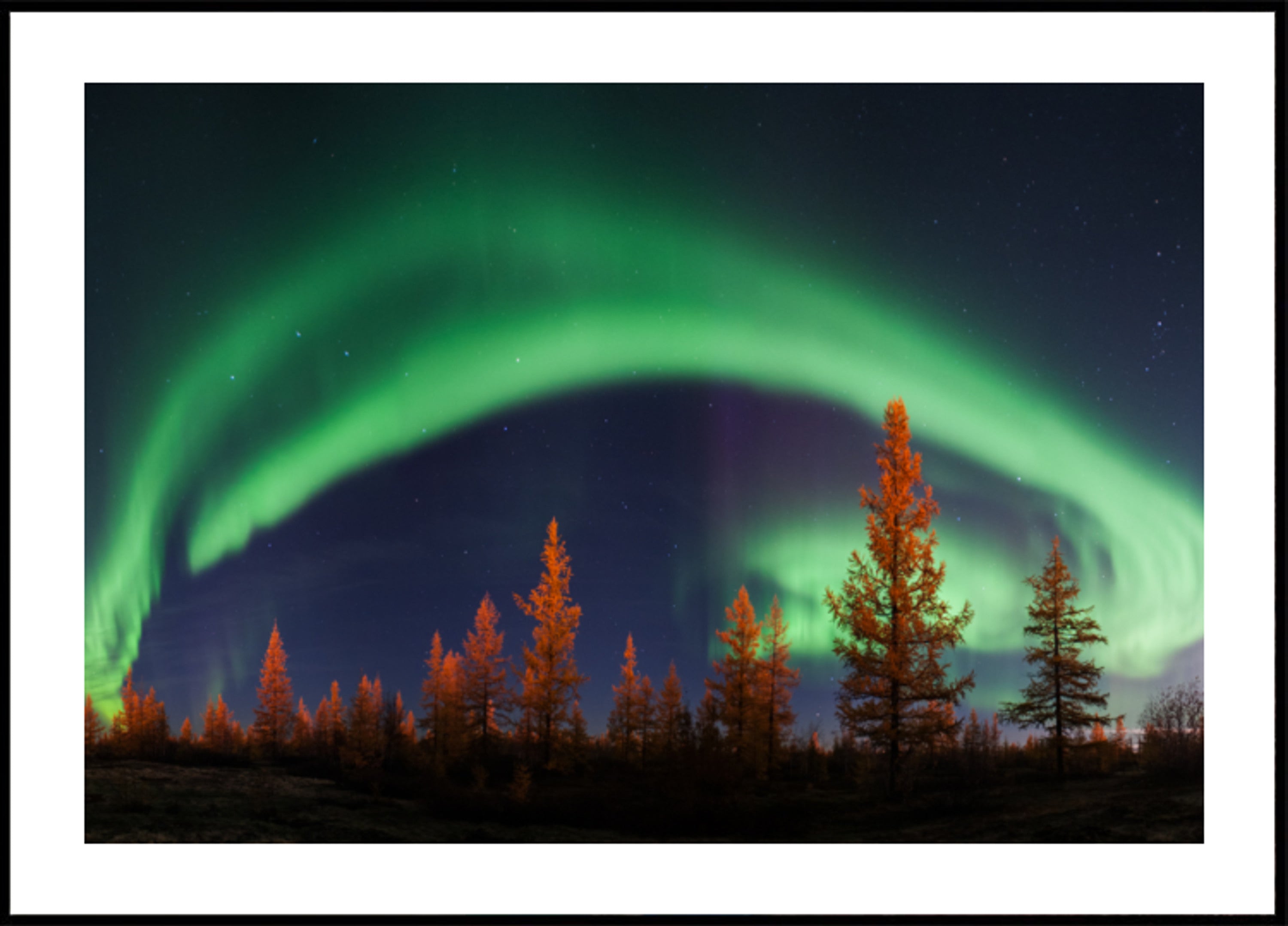 Vilkas Aurora Night Sky