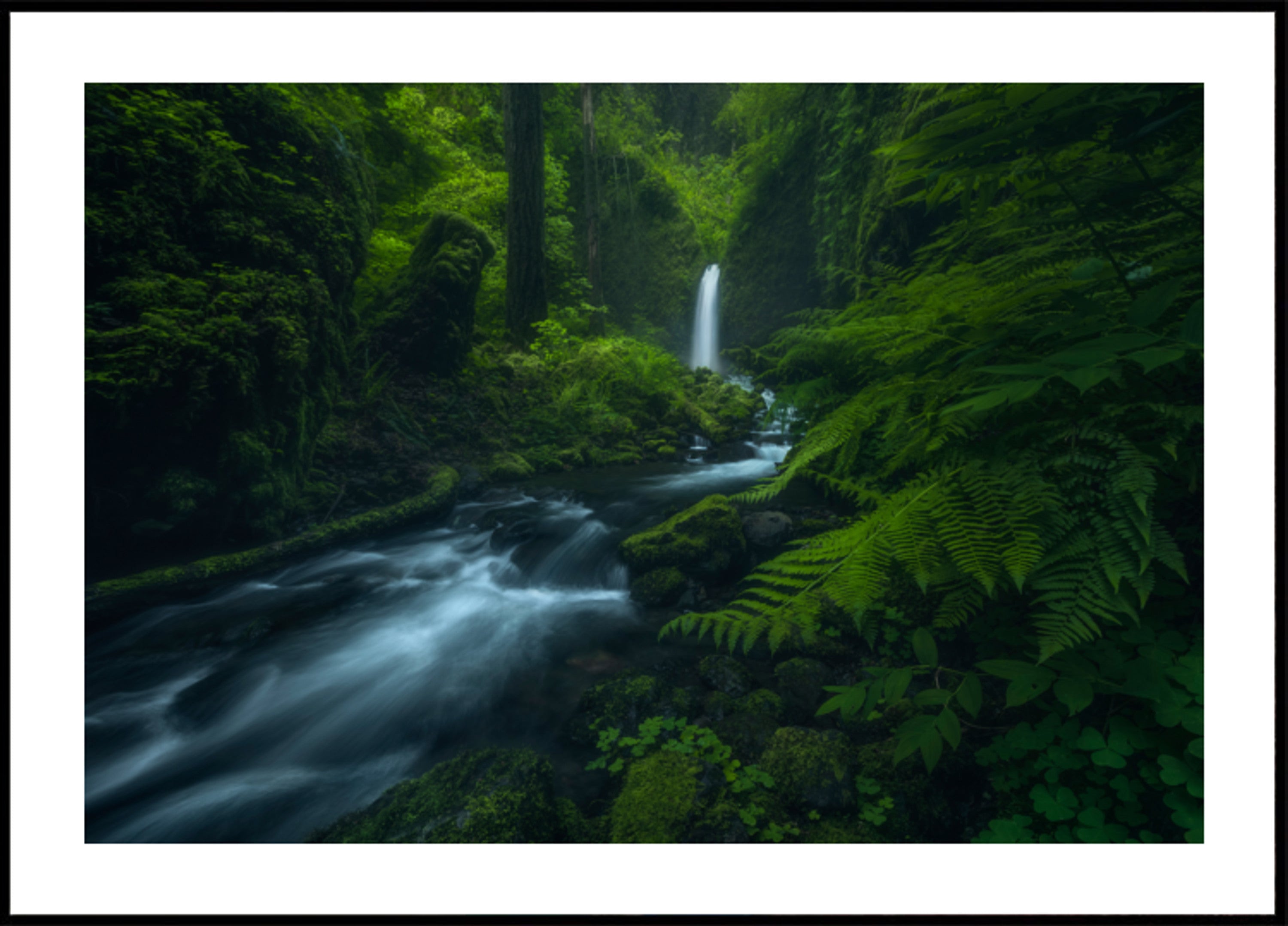 Virtaava Forest Falls